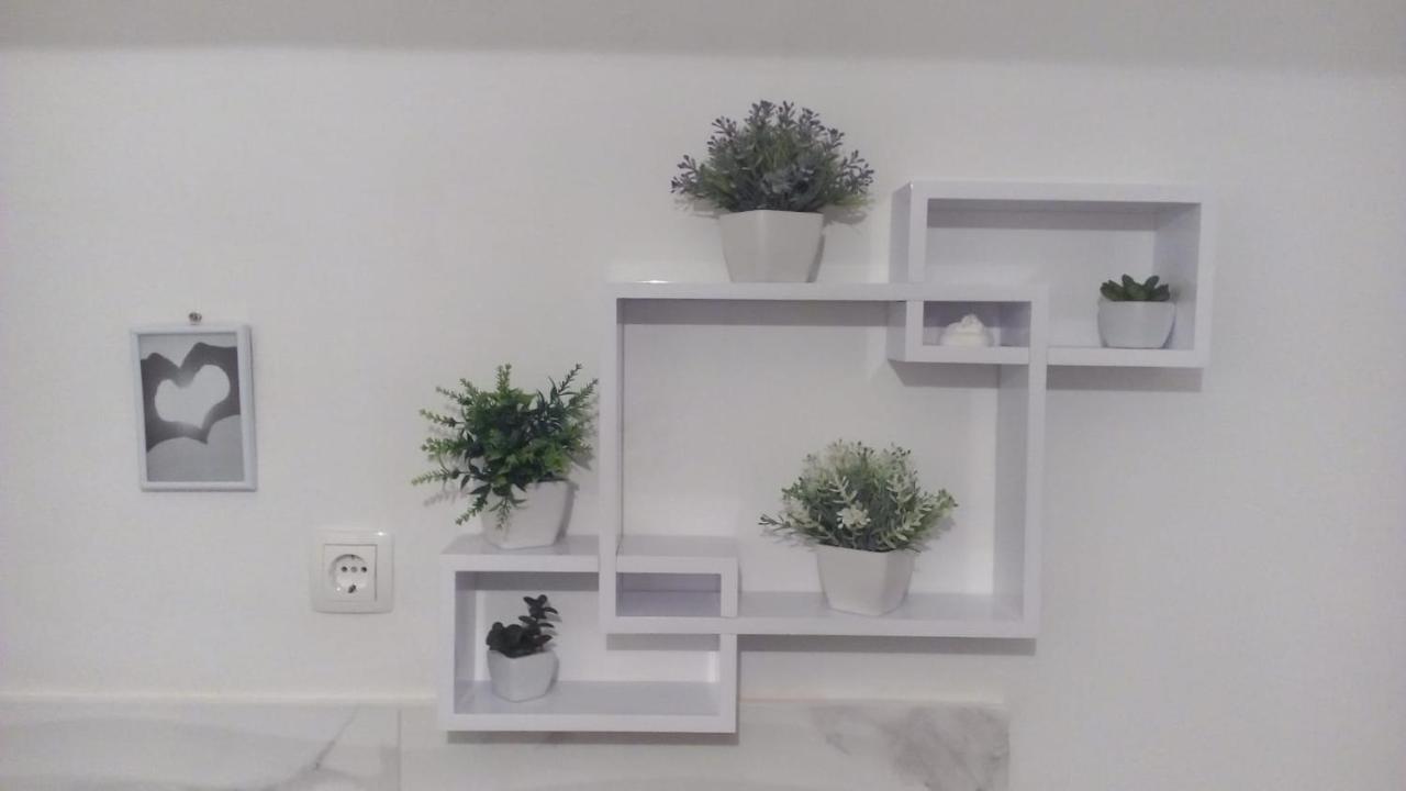 Apartments Marija Anchor Zadar Ngoại thất bức ảnh